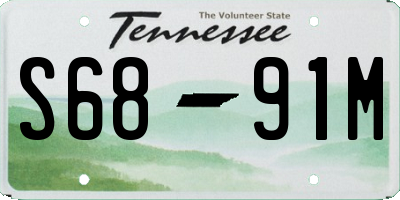 TN license plate S6891M