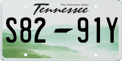 TN license plate S8291Y