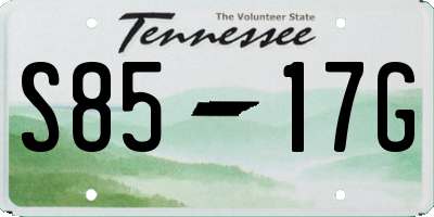 TN license plate S8517G