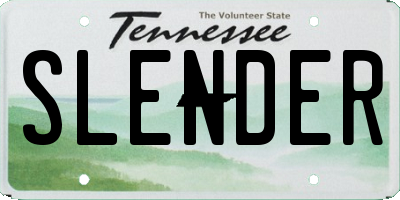 TN license plate SLENDER