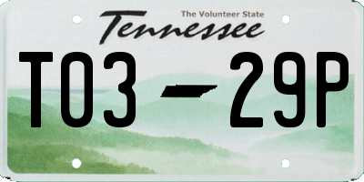 TN license plate T0329P