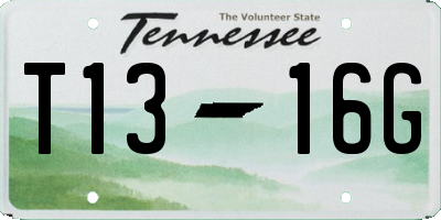 TN license plate T1316G