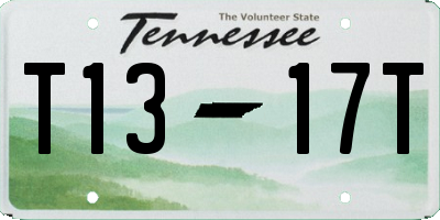 TN license plate T1317T