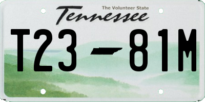 TN license plate T2381M