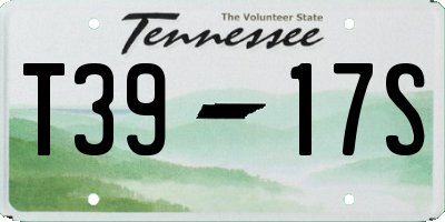 TN license plate T3917S