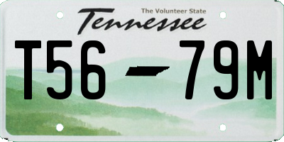 TN license plate T5679M