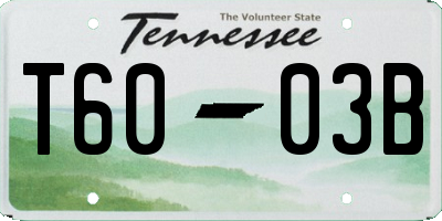 TN license plate T6003B