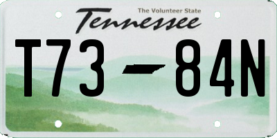 TN license plate T7384N