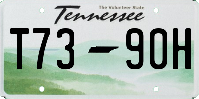 TN license plate T7390H