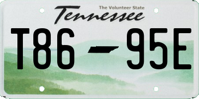 TN license plate T8695E