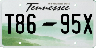 TN license plate T8695X