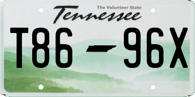 TN license plate T8696X