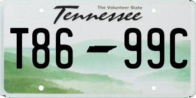 TN license plate T8699C
