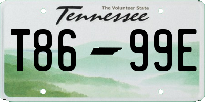 TN license plate T8699E