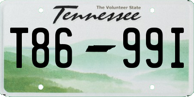 TN license plate T8699I