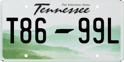 TN license plate T8699L