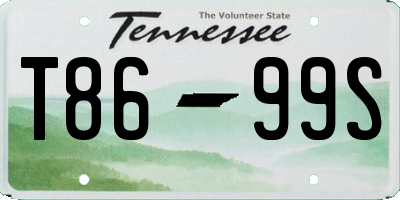 TN license plate T8699S