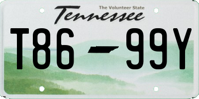 TN license plate T8699Y