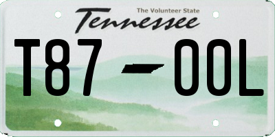 TN license plate T8700L