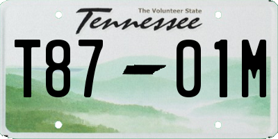 TN license plate T8701M