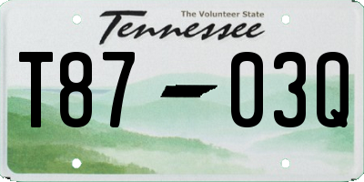 TN license plate T8703Q