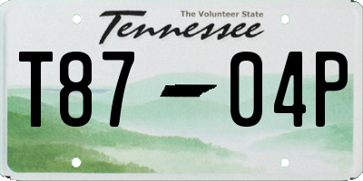 TN license plate T8704P