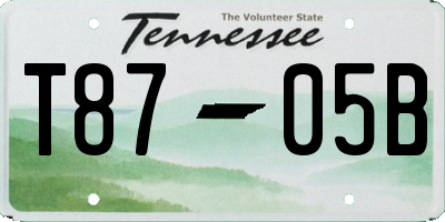 TN license plate T8705B