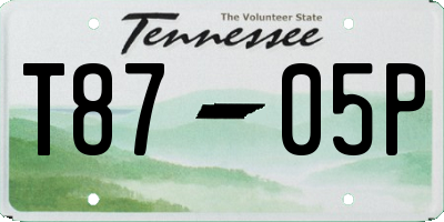 TN license plate T8705P