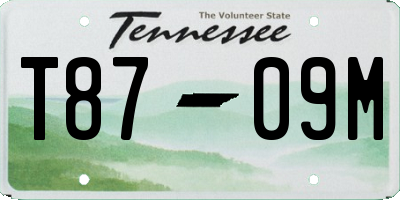 TN license plate T8709M