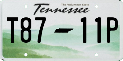 TN license plate T8711P