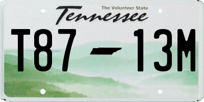 TN license plate T8713M