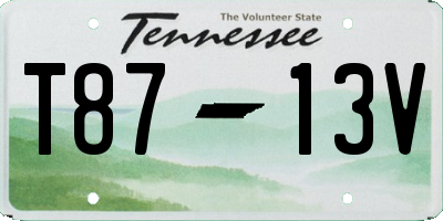 TN license plate T8713V