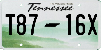 TN license plate T8716X