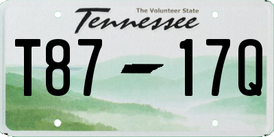 TN license plate T8717Q