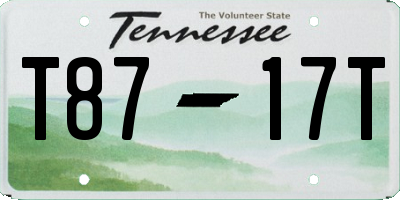 TN license plate T8717T