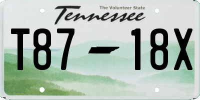 TN license plate T8718X