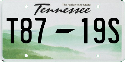 TN license plate T8719S
