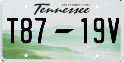 TN license plate T8719V