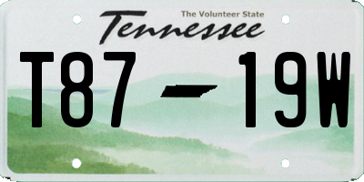 TN license plate T8719W