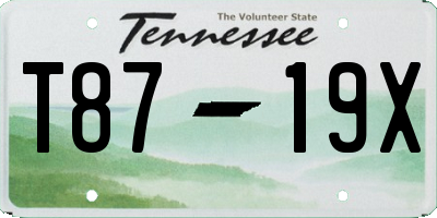 TN license plate T8719X
