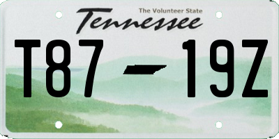 TN license plate T8719Z