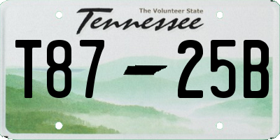 TN license plate T8725B