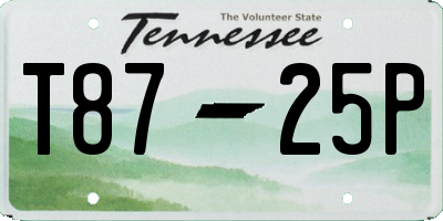 TN license plate T8725P
