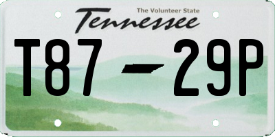 TN license plate T8729P