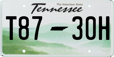 TN license plate T8730H