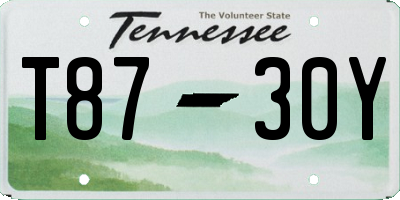 TN license plate T8730Y
