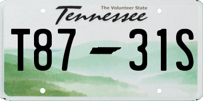 TN license plate T8731S