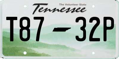 TN license plate T8732P