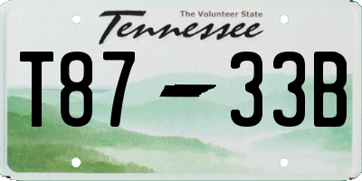 TN license plate T8733B