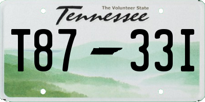 TN license plate T8733I